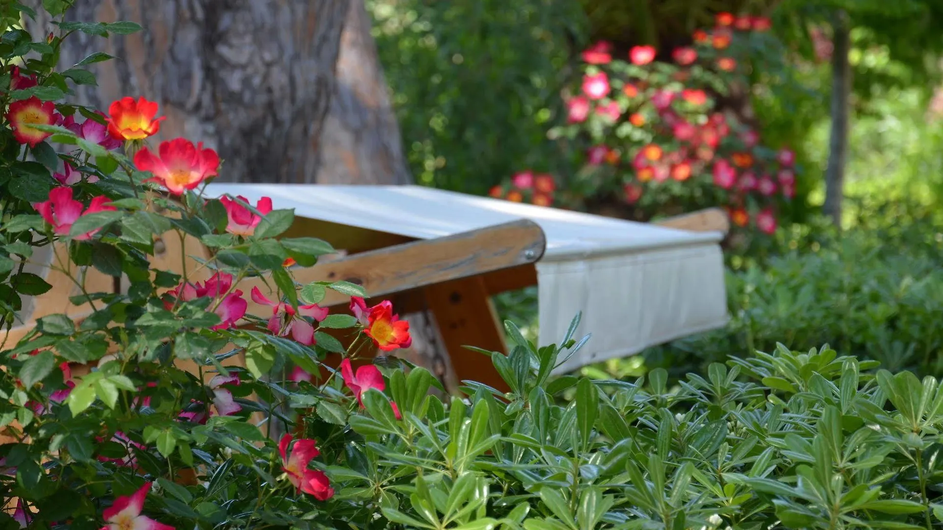 Bed & Breakfast Villa Terme Di Caldana B&B Venturina Terme