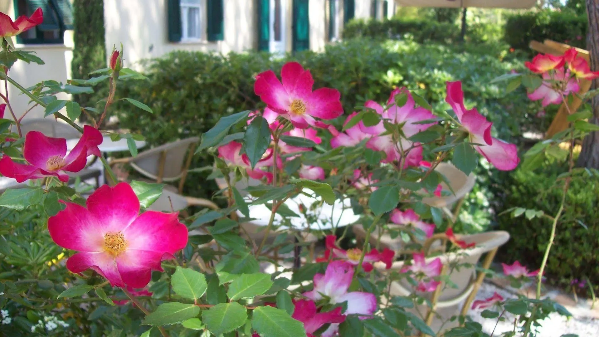 Villa Terme Di Caldana B&B Venturina Terme Italië